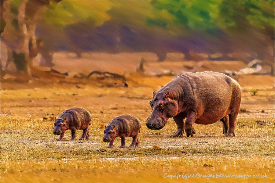 African Wildlife Art by UK Artist Christopher Beever 42