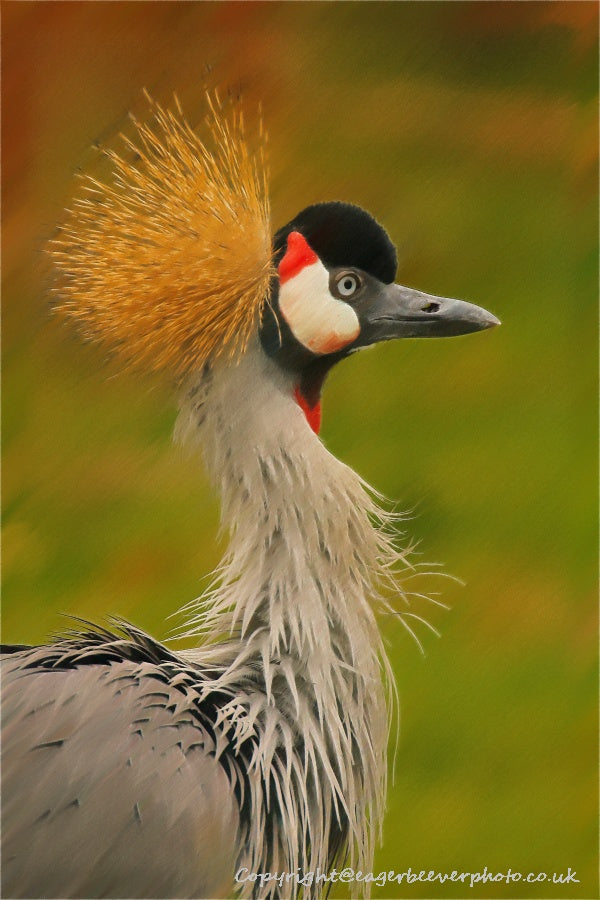African Wildlife Art by UK Artist Christopher Beever 14