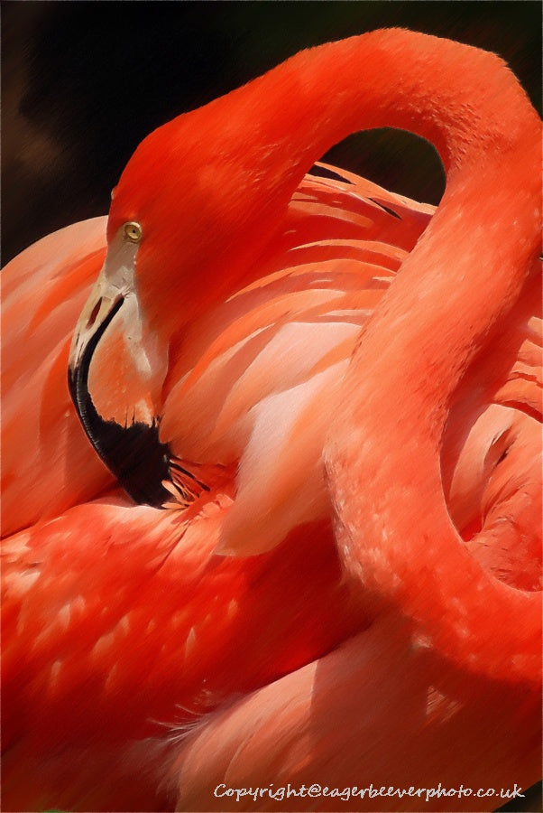 African Wildlife Art by UK Artist Christopher Beever 20