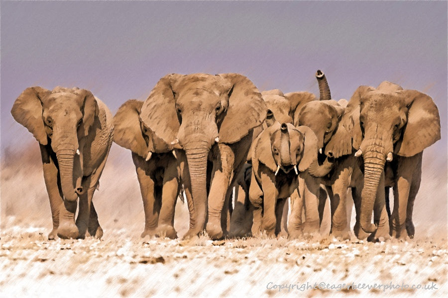 African Wildlife Art by UK Artist Christopher Beever 38