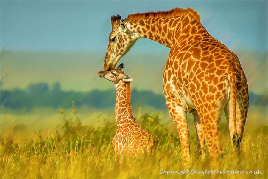 African Wildlife Art by UK Artist Christopher Beever 4