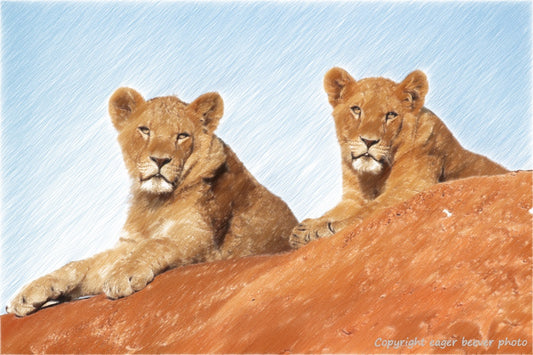 Big Cat Wildlife Art Paintings by UK Artist Chris Beever 73