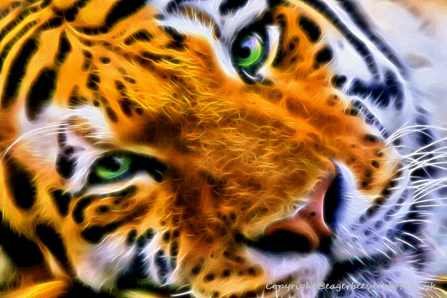 Big Cat Wildlife Art by UK Artist christopher Beever 38