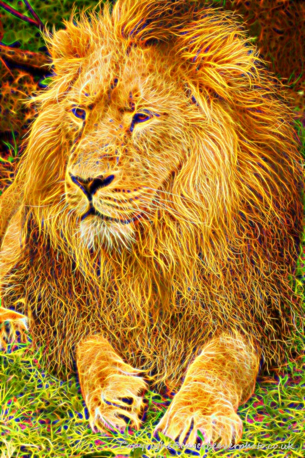 Big Cat Wildlife Art by UK Artist christopher Beever 52