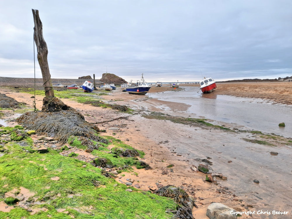 Bude Cornwall England UK Landscape art by christopher beever 15