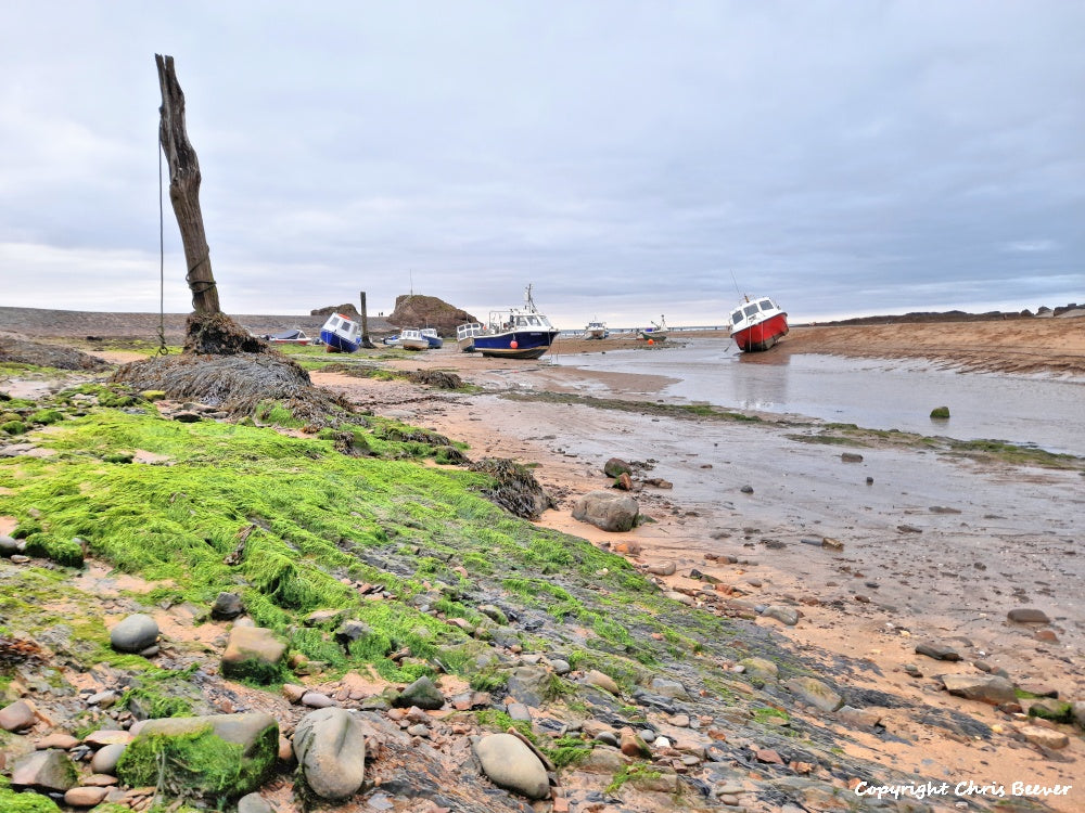Bude Cornwall England UK Landscape art by christopher beever 16