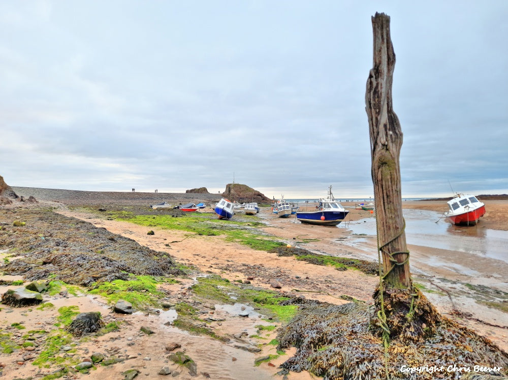 Bude Cornwall England UK Landscape art by christopher beever 17