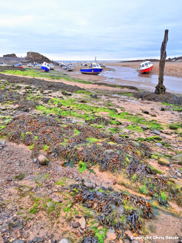 Bude Cornwall England UK Landscape art by christopher beever 18
