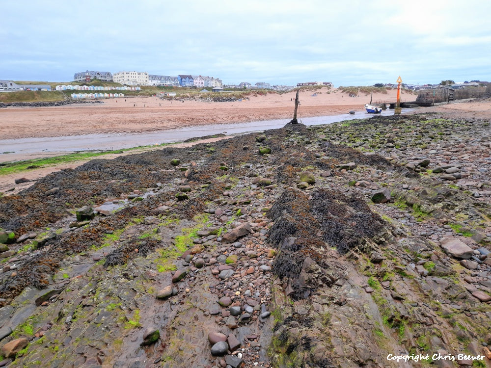 Bude Cornwall England UK Landscape art by christopher beever 20