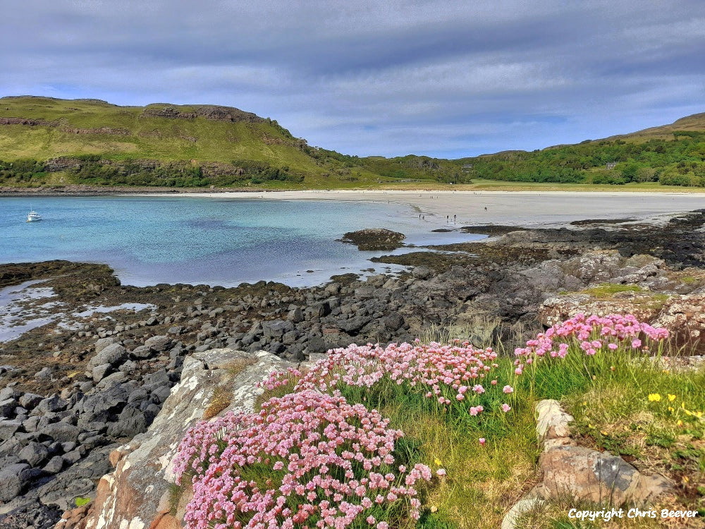 Calgary Bay Isle of Mull Scotland Art by Christopher Beever 10