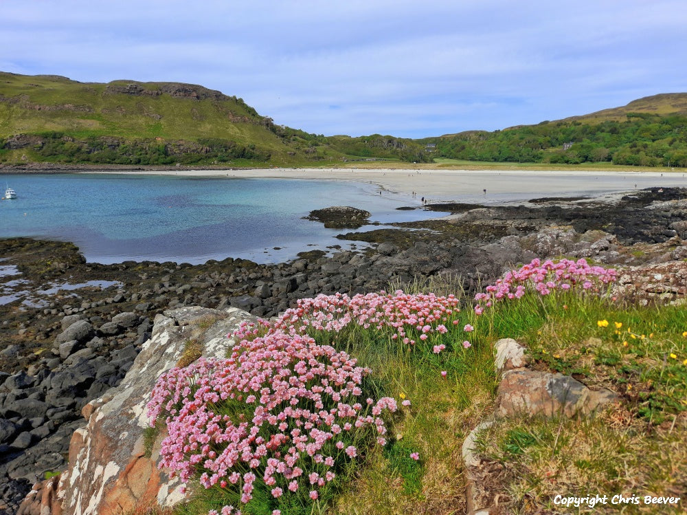 Calgary Bay Isle of Mull Scotland Art by Christopher Beever 11