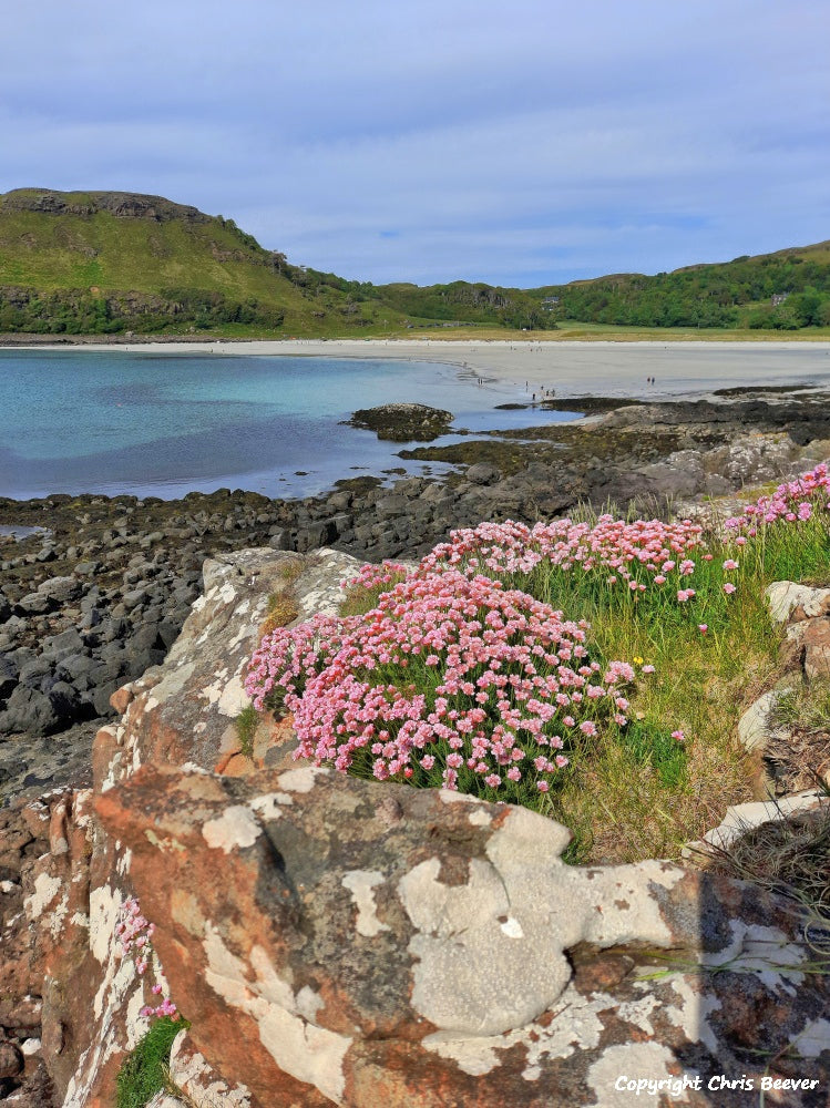 Calgary Bay Isle of Mull Scotland Art by Christopher Beever 12
