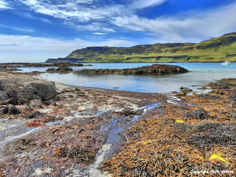 Calgary Bay Isle of Mull Scotland Art by Christopher Beever 6