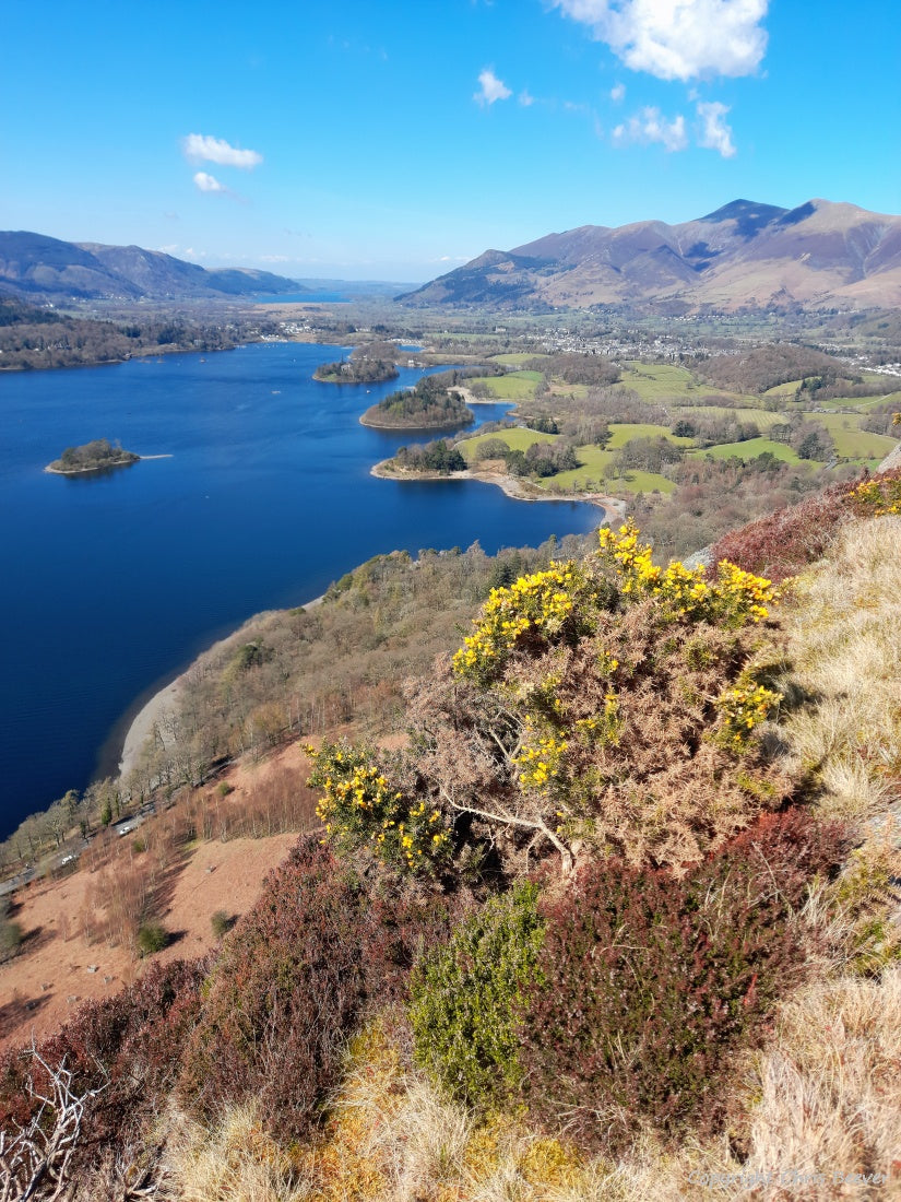 Derwent water & Ashness Bridge UK Lake District Art & Photography 21