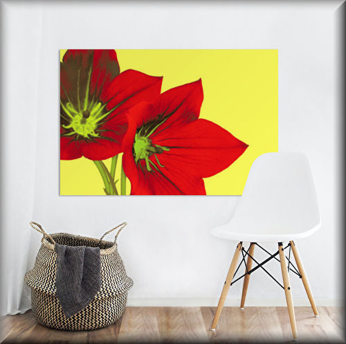 S to XXXL, wildlife Forex prints, Flower Forex prints, Floral Forex prints, Pattern art Forex prints, Nature forex prints, Modern art forex prints, celebrity art forex prints, Landscape forex prints, pop art forex prints, by Chris Beever of eager beever photography and art Wigan greater Manchester united kingdom.