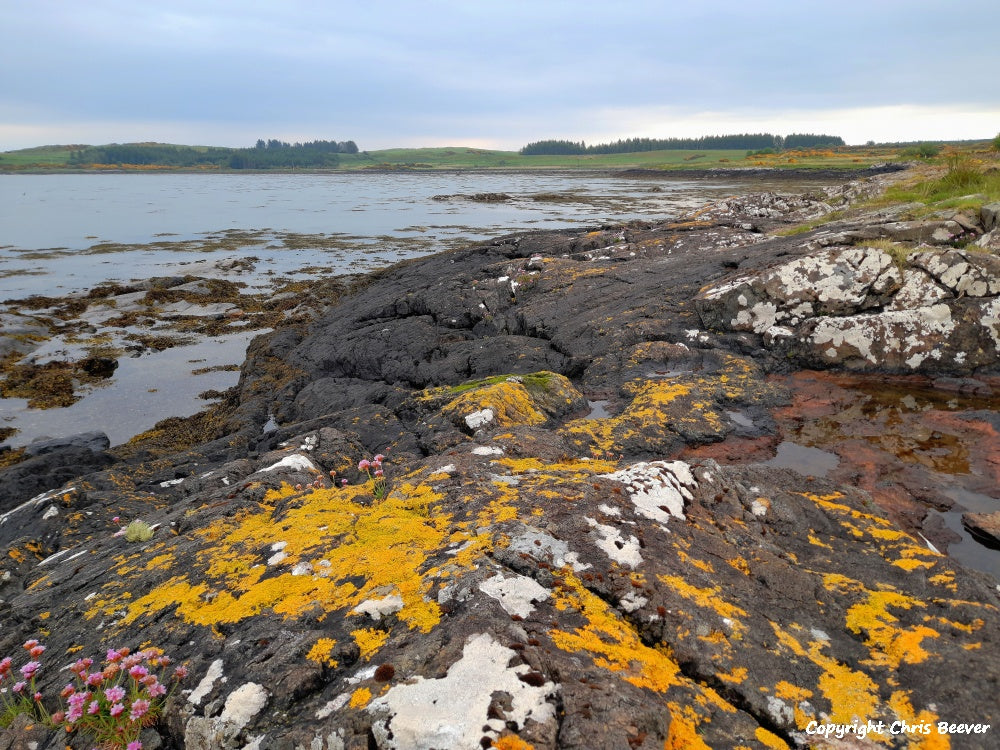 Duart Bay Isle of Mull Scotland Landscape Art by Christopher Beever 13