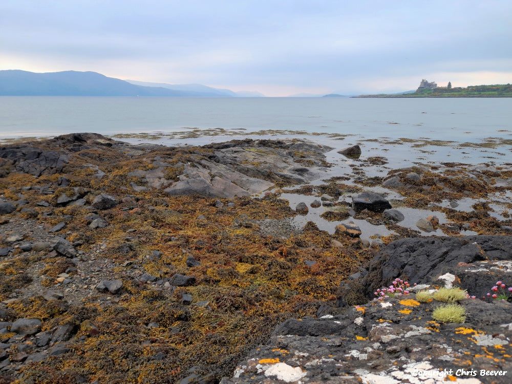 Duart Bay Isle of Mull Scotland Landscape Art by Christopher Beever 14