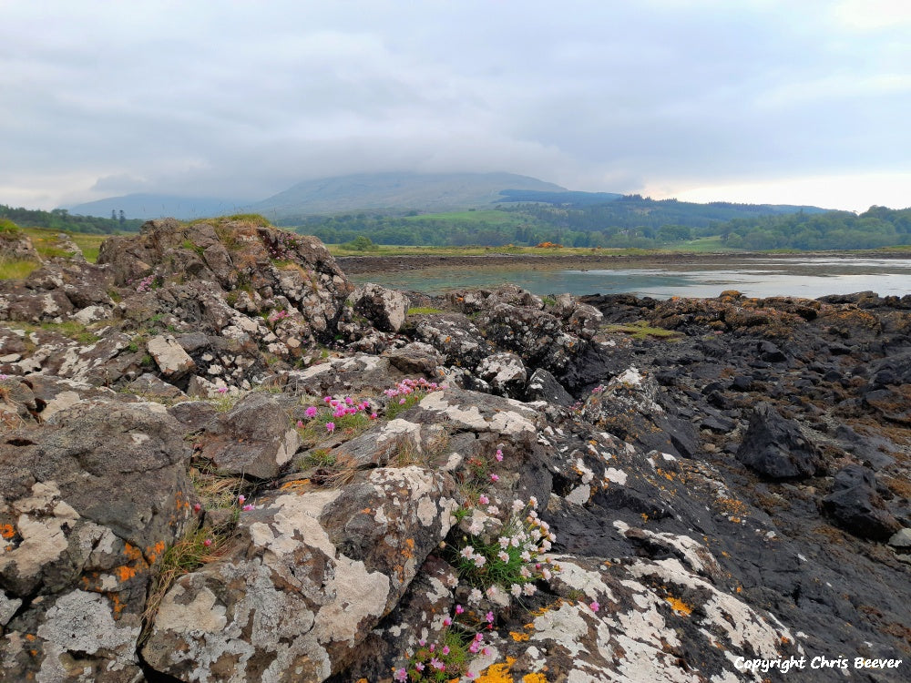 Duart Bay Isle of Mull Scotland Landscape Art by Christopher Beever 15