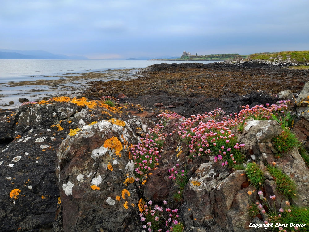 Duart Bay Isle of Mull Scotland Landscape Art by Christopher Beever 17