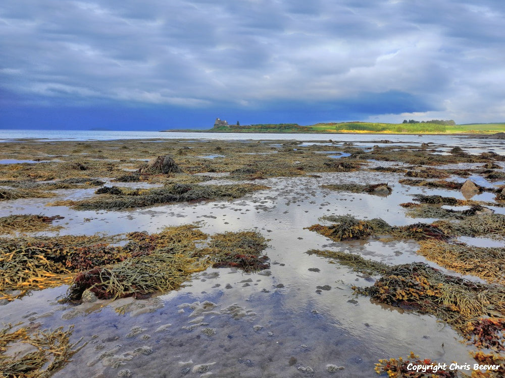 Duart Bay Isle of Mull Scotland Landscape Art by Christopher Beever 2