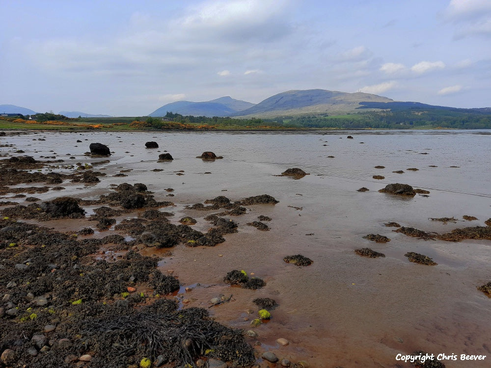 Duart Bay Isle of Mull Scotland Landscape Art by Christopher Beever 4