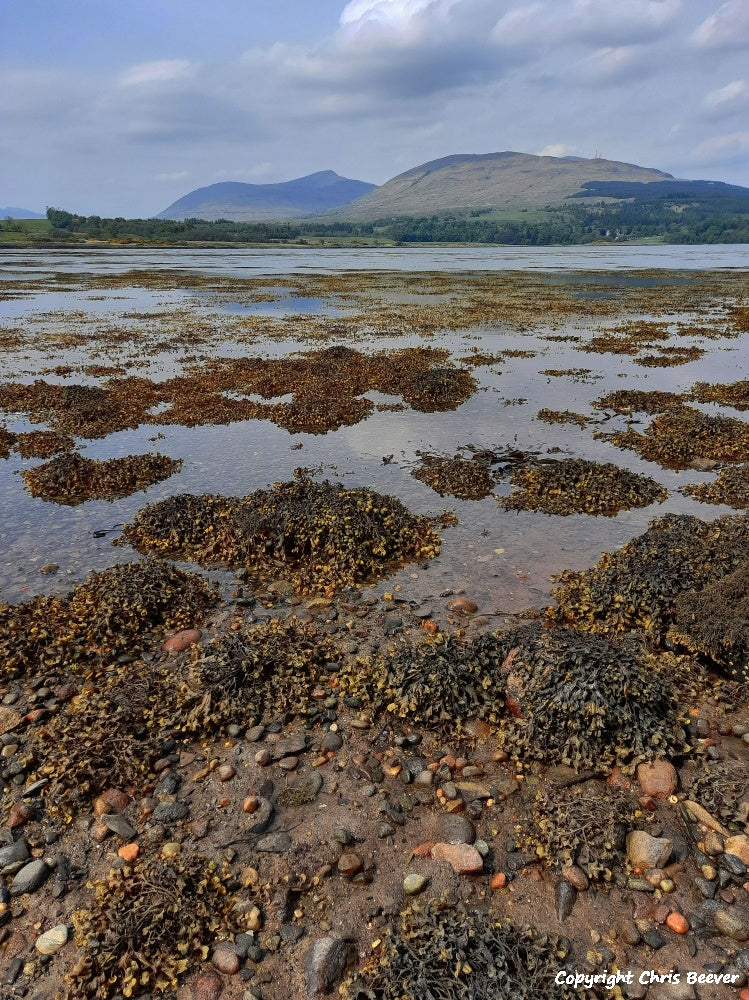 Duart Bay Isle of Mull Scotland Landscape Art by Christopher Beever 6