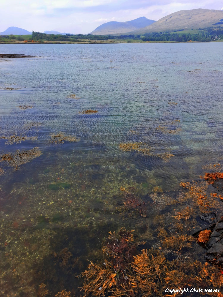 Duart Bay Isle of Mull Scotland Landscape Art by Christopher Beever 7