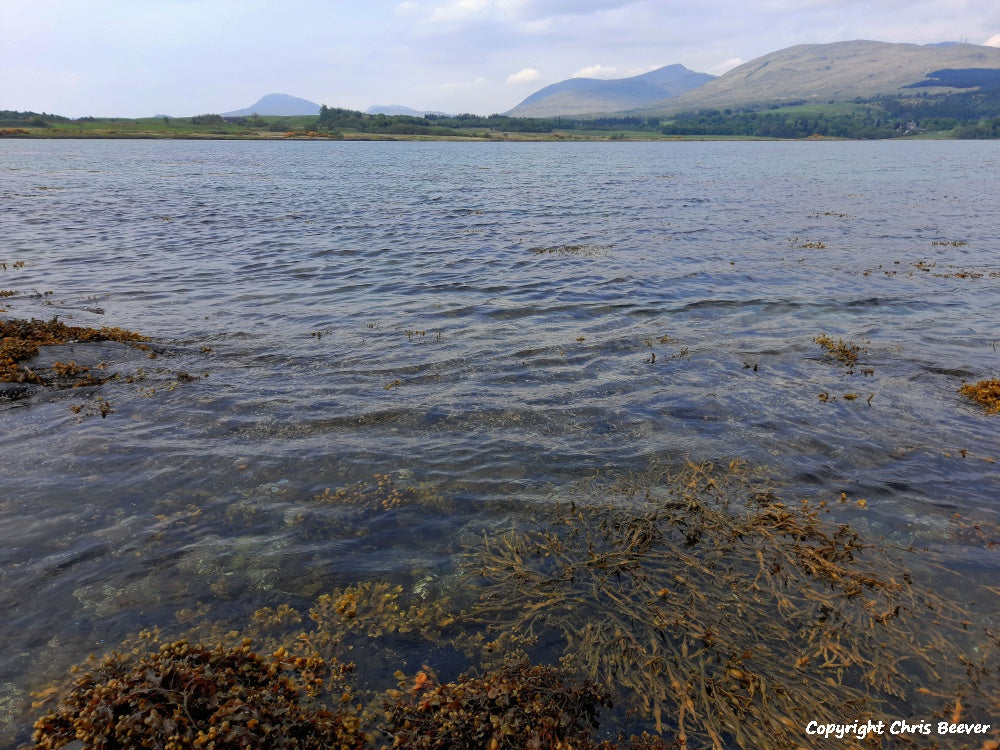 Duart Bay Isle of Mull Scotland Landscape Art by Christopher Beever 8