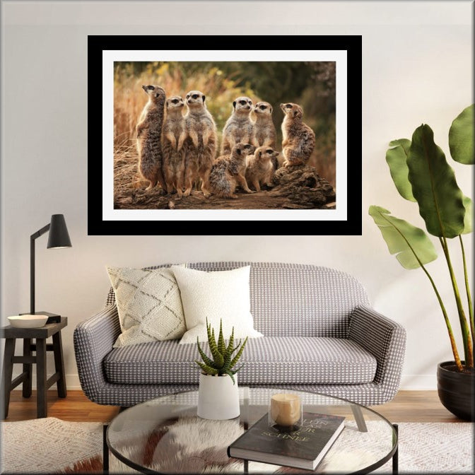 Wildlife art & photography framed prints, landscape art & photography framed prints, pattern art & modern wall art framed prints, flower art & photography framed prints & Nature photography & Art Framed Prints by UK Artist and Photographer Christopher Beever, available in sizes from S to XXL.