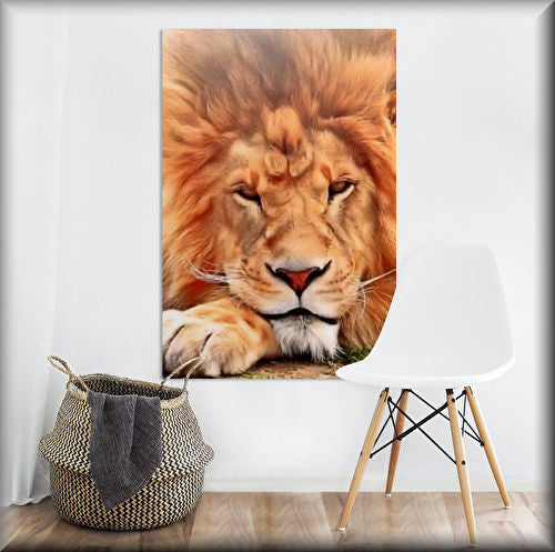 Wildlife Acrylic prints, Flower acrylic prints, Landscape acrylic prints, Nature acrylic prints, modern Pattern Art acrylic prints, and more photography and art available on our Stunning small to XXXL Acrylic Wall art By artist & photographer Christopher Beever