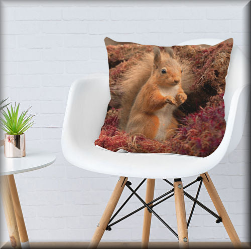 Square, S to XXL, wildlife print cushions, landscape print cushions, flower print cushions, floral print cushions, pattern print cushions, nature print cushions, sofa, bed, floor, cushions by UK Artist Christopher beever sold at eager beever photography & art cushion shop Wigan greater Manchester UK.  