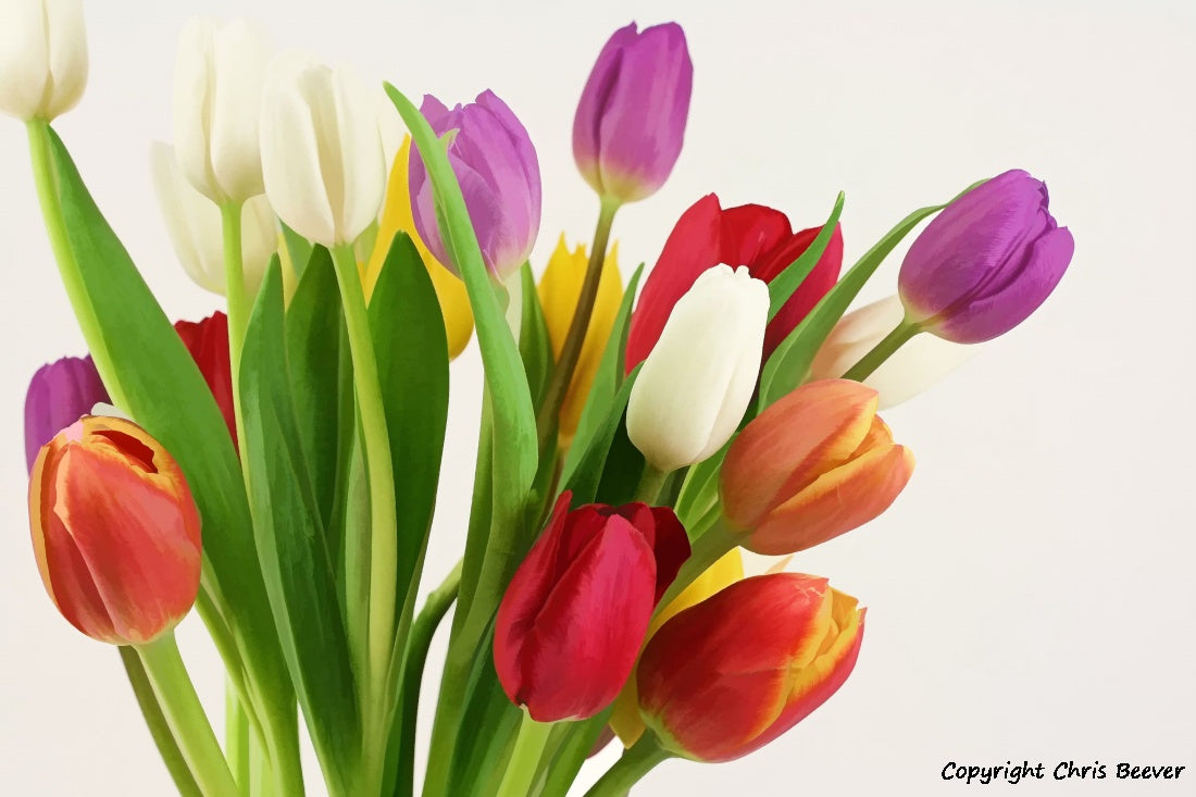 Flower Art & Photography by UK Artist & Photographer Chris Beever 52