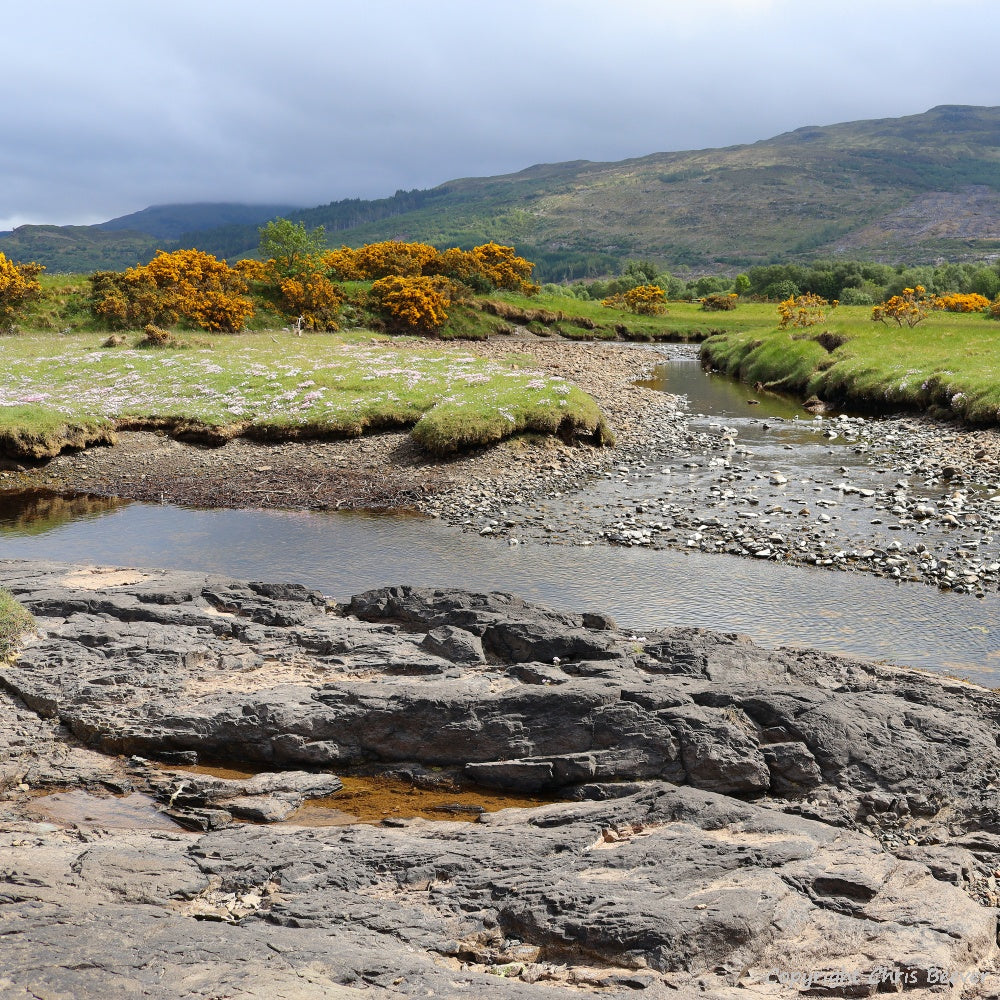 Garmony Point Isle of Mull Scotland Landscape Art by Chris Beever 11
