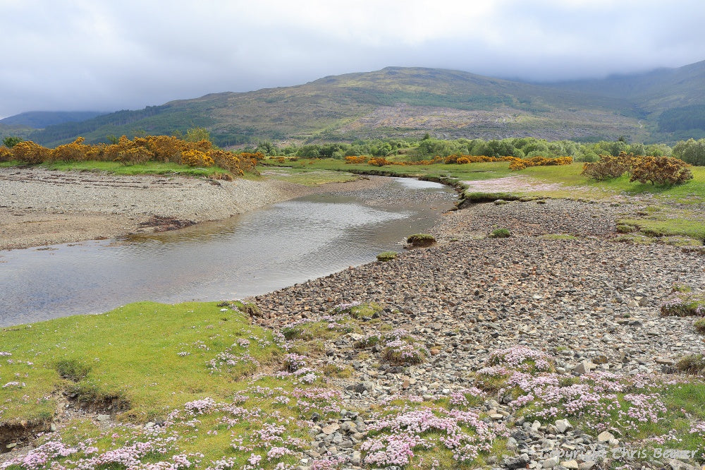 Garmony Point Isle of Mull Scotland Landscape Art by Chris Beever 13