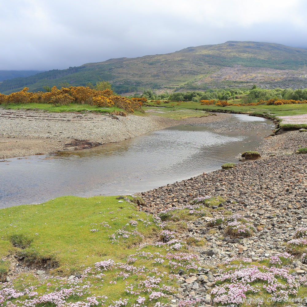Garmony Point Isle of Mull Scotland Landscape Art by Chris Beever 14