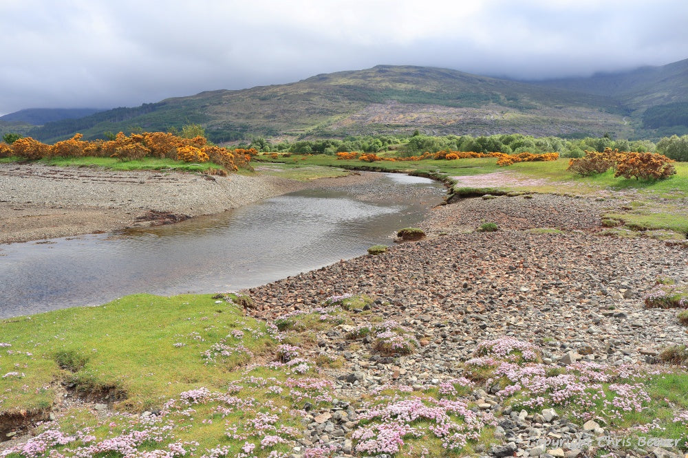 Garmony Point Isle of Mull Scotland Landscape Art by Chris Beever 15