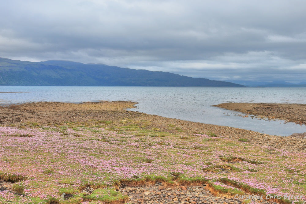 Garmony Point Isle of Mull Scotland Landscape Art by Chris Beever 4
