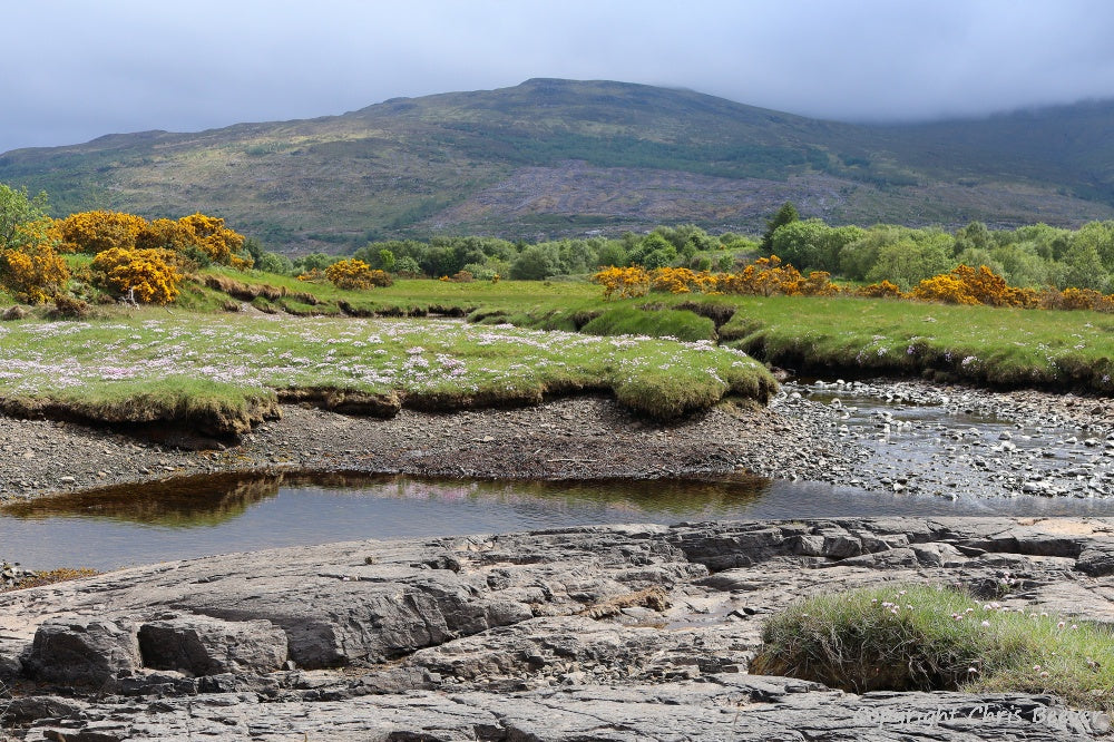 Garmony Point Isle of Mull Scotland Landscape Art by Chris Beever 7