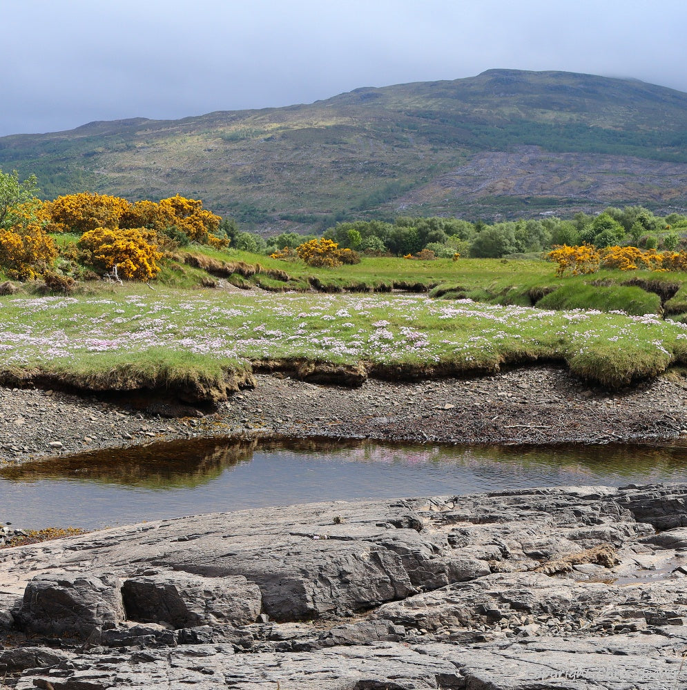 Garmony Point Isle of Mull Scotland Landscape Art by Chris Beever 8