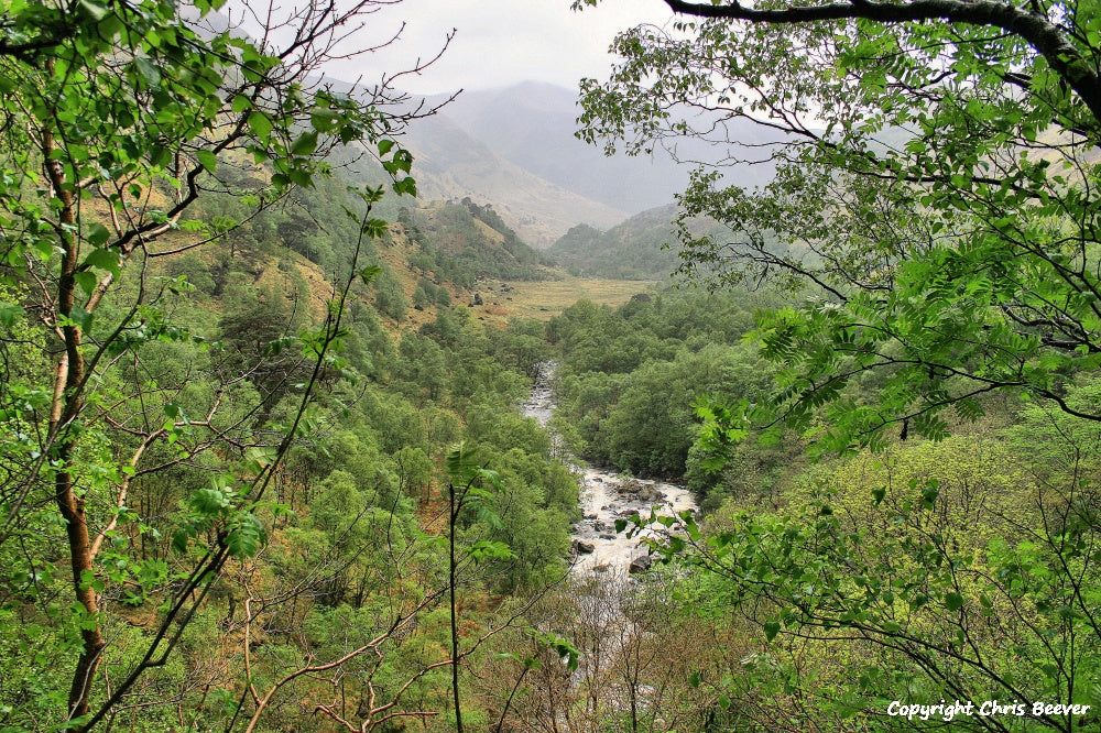 Glen Nevis & Steall Falls Scotland Landscape Art by Chris Beever 4