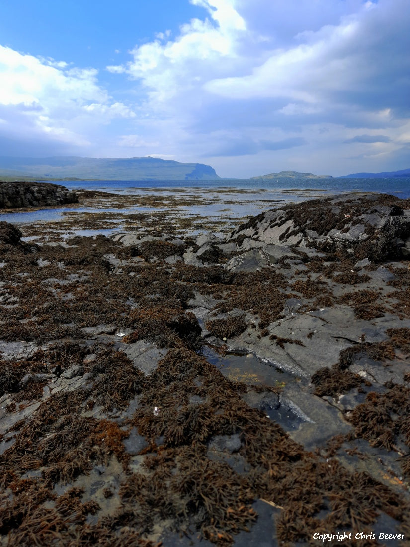 Loch na Keal Isle of Mull Scotland Landscape Art by Chris Beever 14