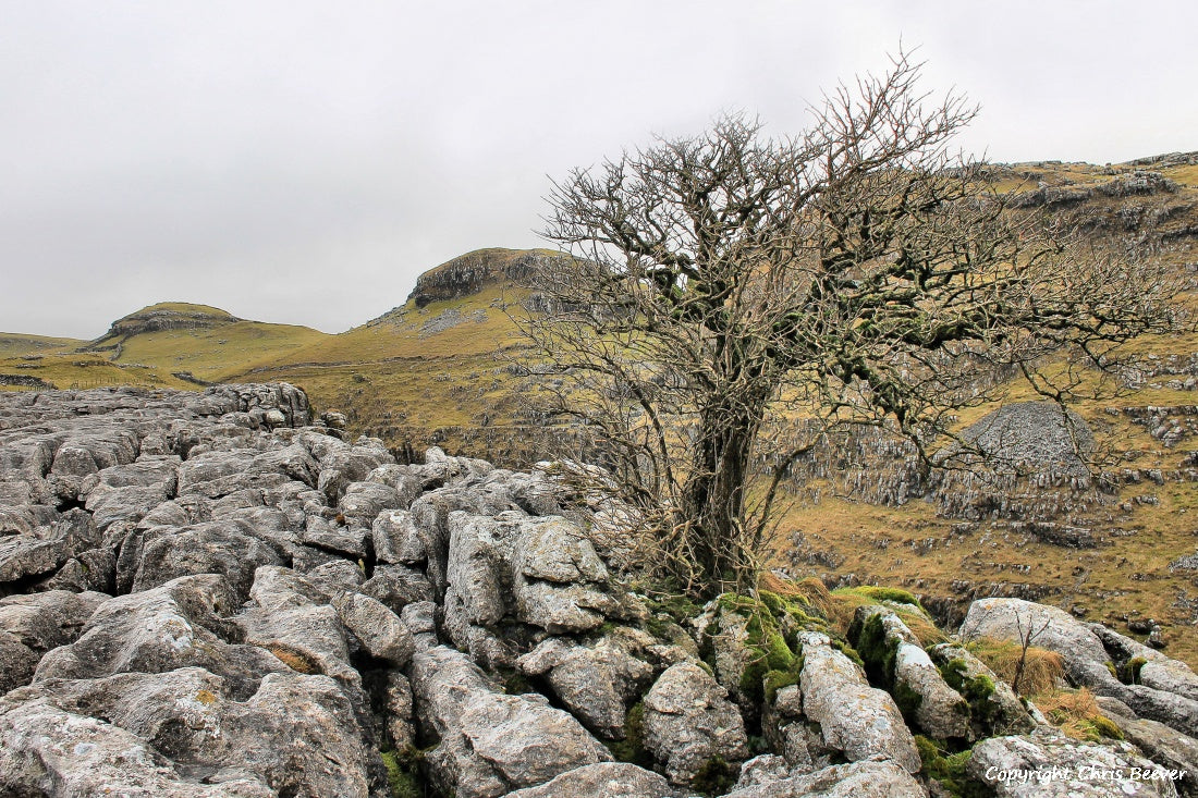 Malham Cove UK Landscape Art & Photography by Christopher Beever 20