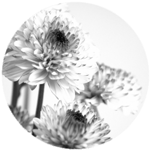 Round Flower or Floral Art & Photography Print Home Décor Design 2