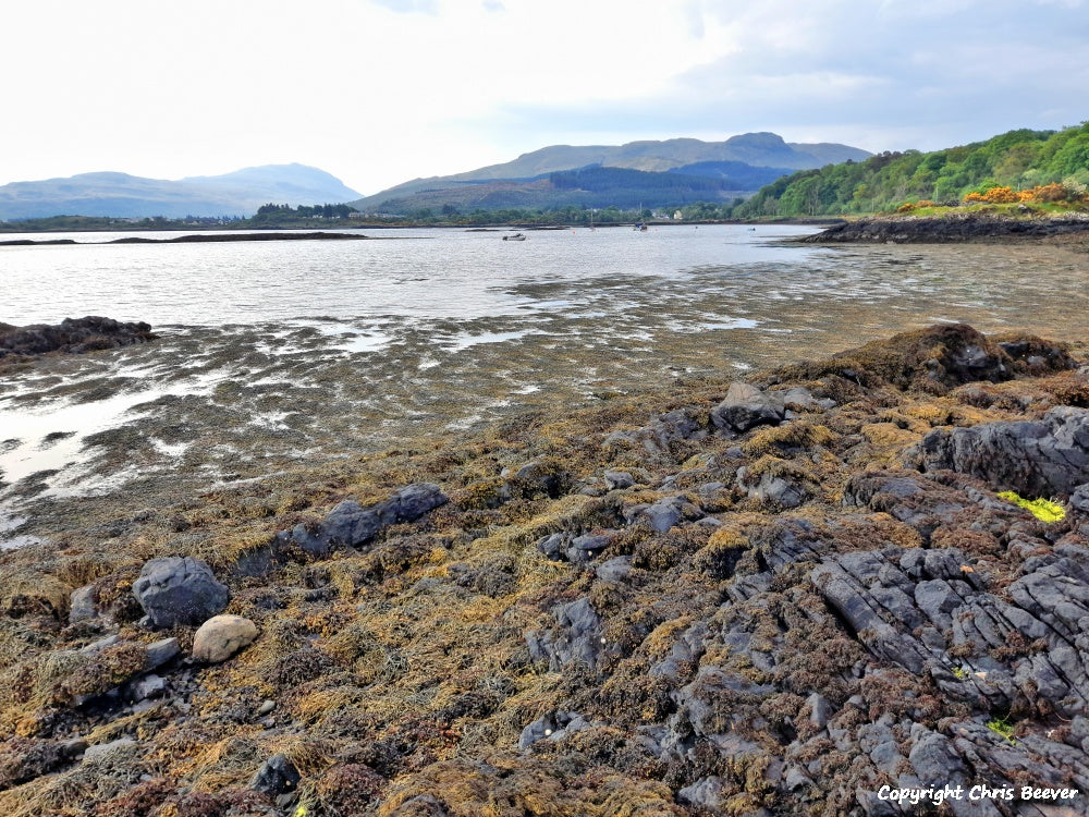 Salen Isle of Mull Scotland Landscape Art by Christopher Beever 2