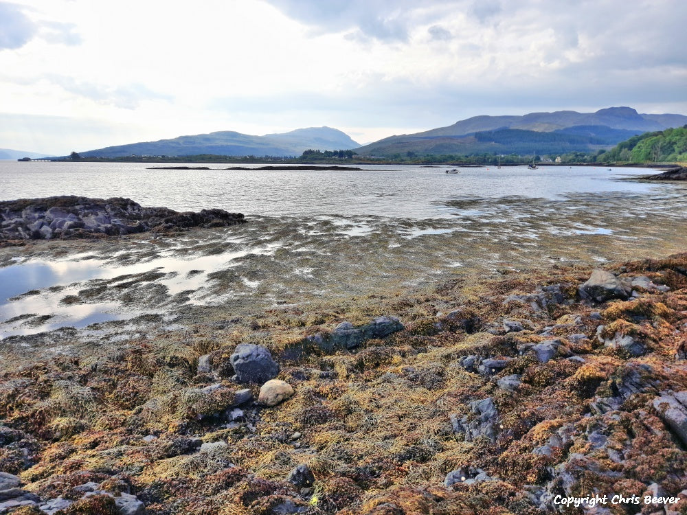 Salen Isle of Mull Scotland Landscape Art by Christopher Beever 3