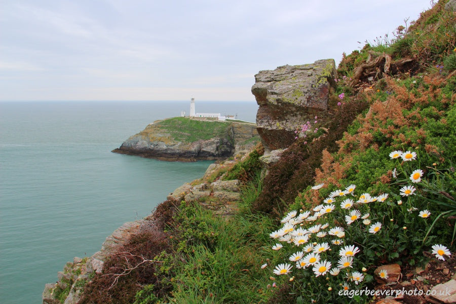 Anglesey Wales UK Landscape Art by Chris Beever 17