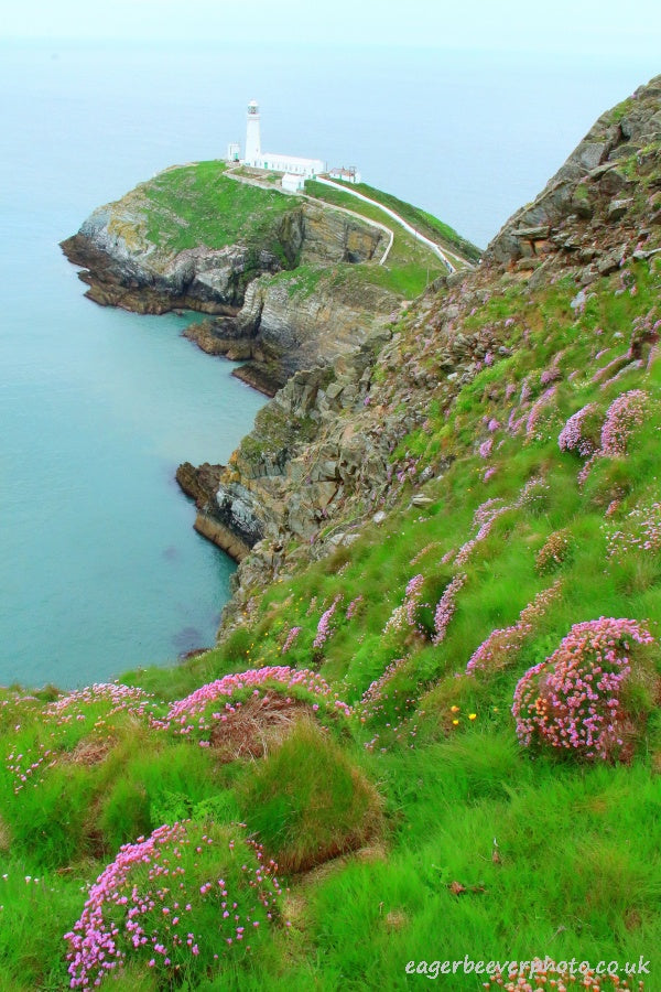 Anglesey Wales UK Landscape Art by Chris Beever 18