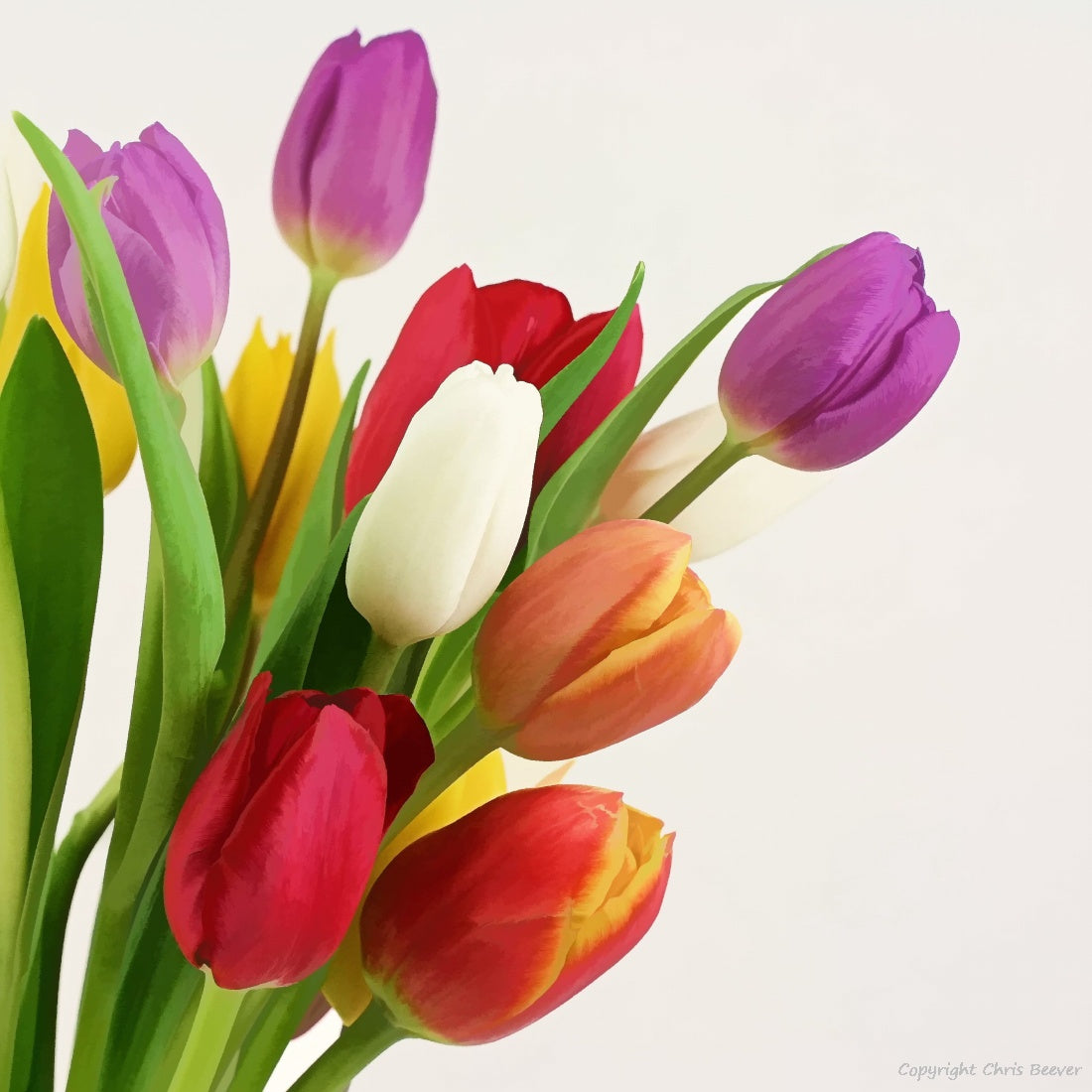 Square Flower Art & Photography by UK Artist Christopher Beever 29