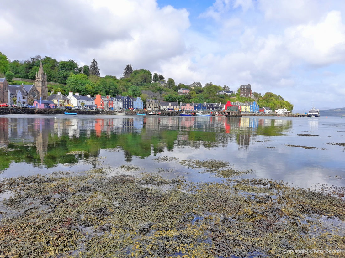 Tobermory & Lighthouse Isle of Mull Landscape Art by Chris Beever 11