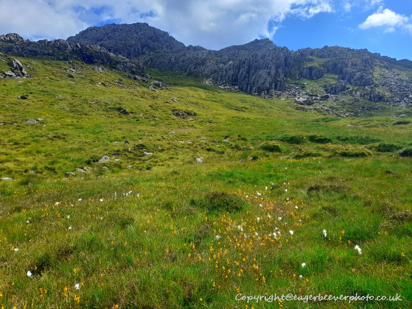 Tryfan Glyder Fach Glyder Fawr Wales Landscape Art by Chris Beever 18
